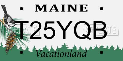 T25YQB Maine License Plate