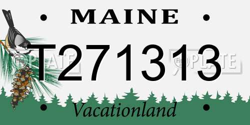 T271313 Maine License Plate