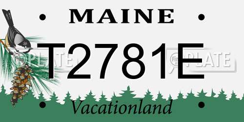 T2781E Maine License Plate