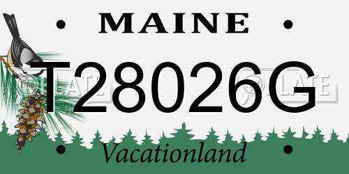 T28026G Maine License Plate