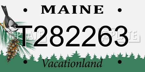 T282263 Maine License Plate