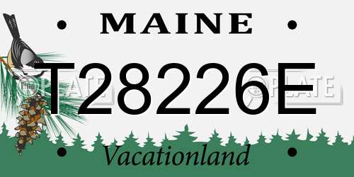 T28226E Maine License Plate