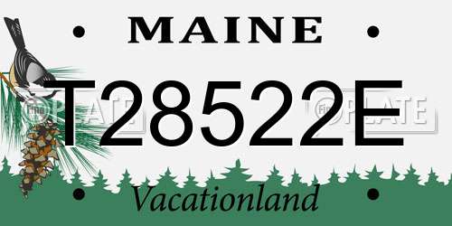 T28522E Maine License Plate
