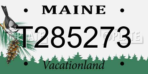 T285273 Maine License Plate