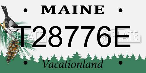 T28776E Maine License Plate