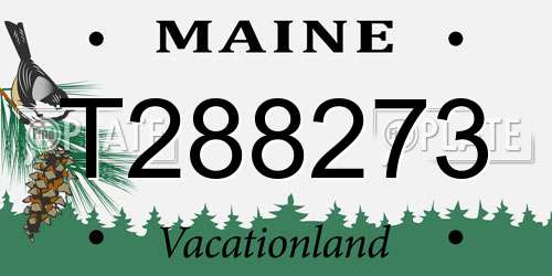 T288273 Maine License Plate