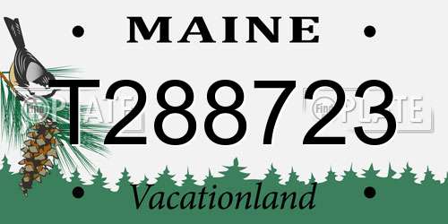 T288723 Maine License Plate