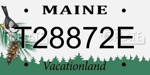 T28872E Maine License Plate