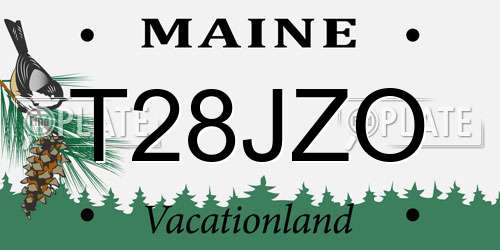 T28JZO Maine License Plate