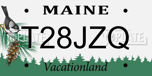 T28JZQ Maine License Plate
