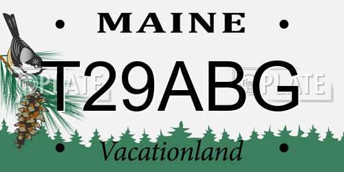 T29ABG Maine License Plate