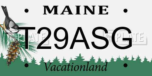 T29ASG Maine License Plate