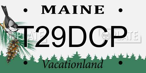 T29DCP Maine License Plate