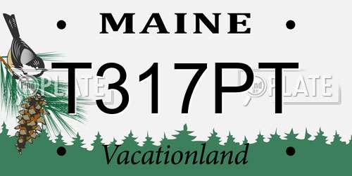 T317PT Maine License Plate
