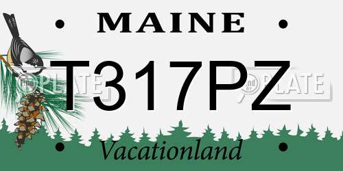 T317PZ Maine License Plate