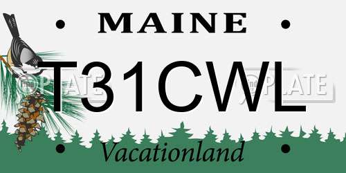 T31CWL Maine License Plate