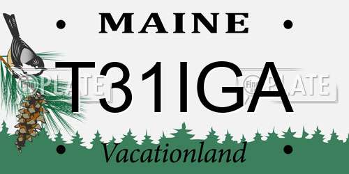 T31IGA Maine License Plate