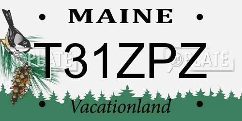 T31ZPZ Maine License Plate