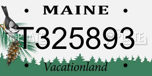 T325893 Maine License Plate