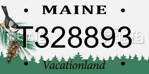 T328893 Maine License Plate