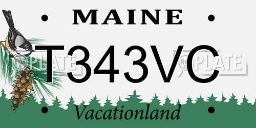 T343VC Maine License Plate