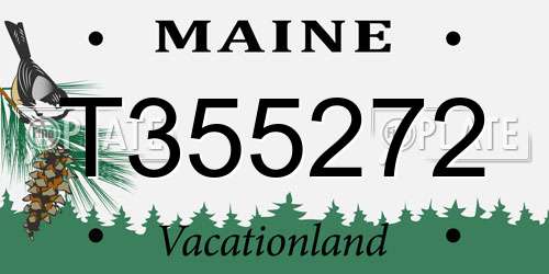 T355272 Maine License Plate