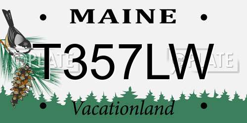 T357LW Maine License Plate