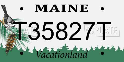 T35827T Maine License Plate