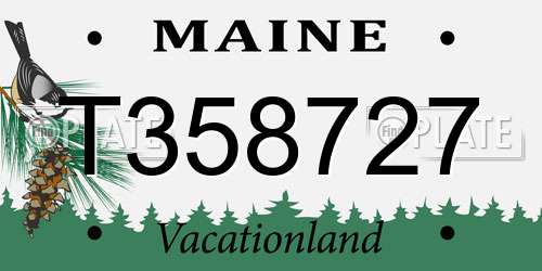 T358727 Maine License Plate