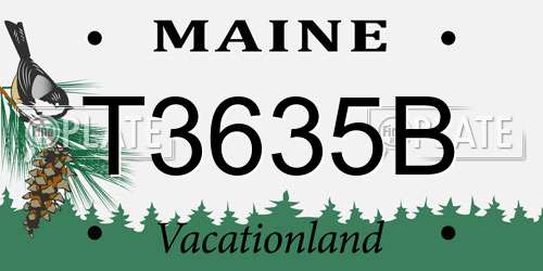 T3635B Maine License Plate
