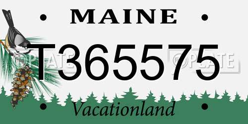T365575 Maine License Plate