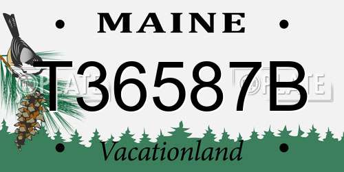 T36587B Maine License Plate