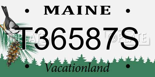 T36587S Maine License Plate