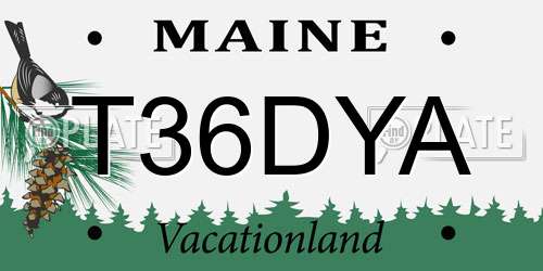 T36DYA Maine License Plate