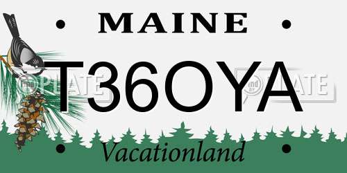 T36OYA Maine License Plate