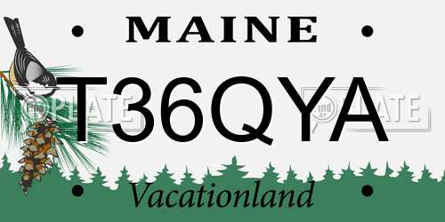 T36QYA Maine License Plate
