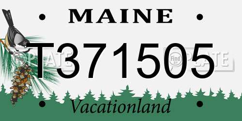 T371505 Maine License Plate