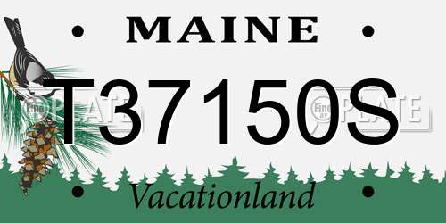 T37150S Maine License Plate