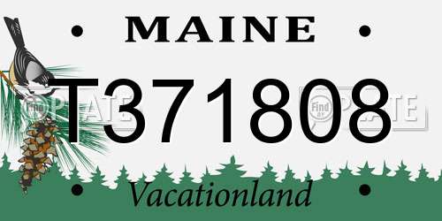 T371808 Maine License Plate