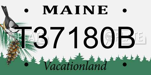 T37180B Maine License Plate