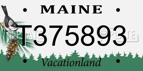 T375893 Maine License Plate