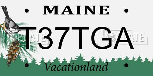 T37TGA Maine License Plate