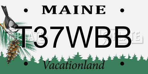 T37WBB Maine License Plate