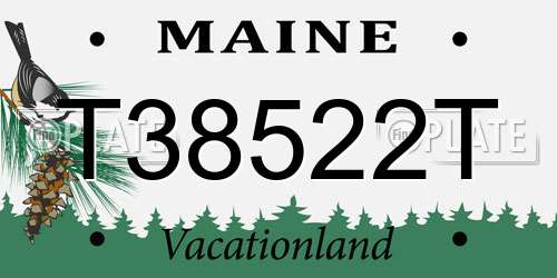 T38522T Maine License Plate