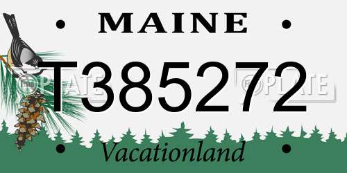 T385272 Maine License Plate