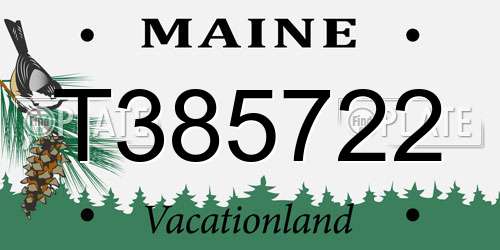 T385722 Maine License Plate