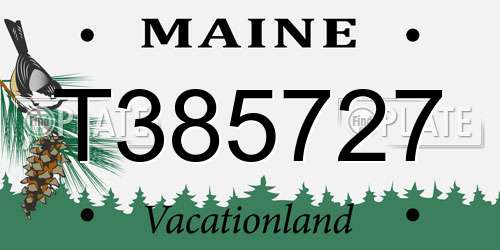T385727 Maine License Plate