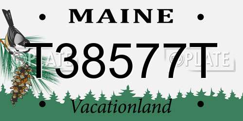 T38577T Maine License Plate