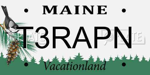 T3RAPN Maine License Plate