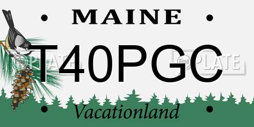 T40PGC Maine License Plate